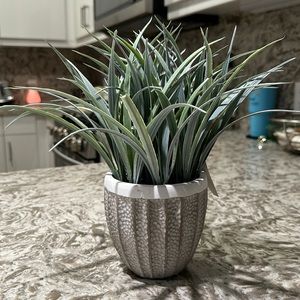 Faux sea grass house plant